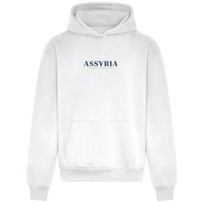 THE BLUE GATE OVERSIZED HEAVY HOODIE