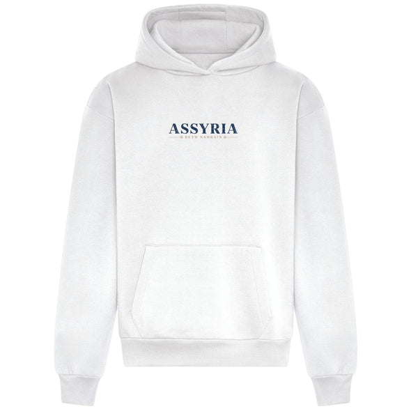 THE BLUE GATE OVERSIZED HEAVY HOODIE