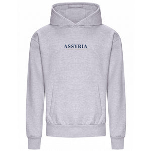 THE BLUE GATE OVERSIZED HEAVY HOODIE