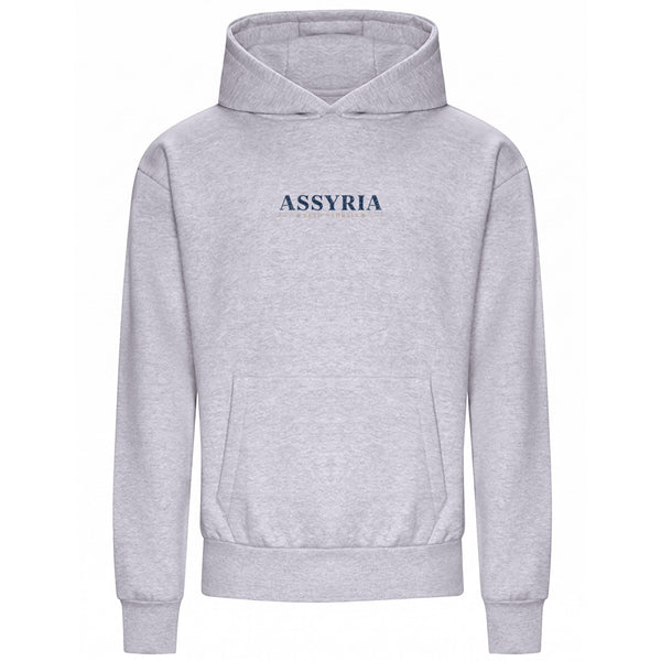 THE BLUE GATE OVERSIZED HEAVY HOODIE