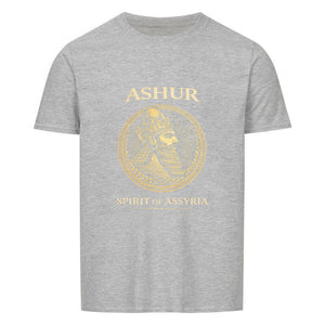 Image for color: sport grey